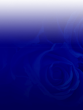 home roses bg